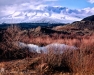 Mt Saint Helens Early Spring