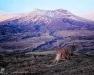 Mt Saint Helens Late Spring