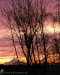 Mount Hood Early Sunrise