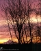 Mount Hood Early Sunrise