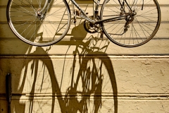 Bicycle Rack #19