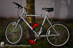 Bicycle Rack #61