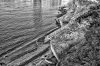Columbia River Erosion Prevention Project