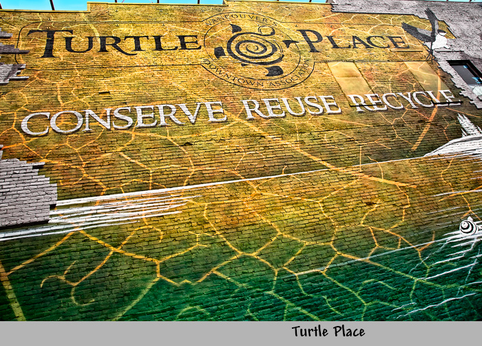 Turtle Place