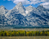 Grand Tetons